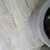 Palmi Terra